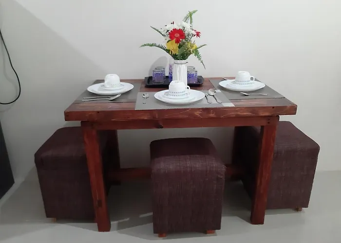 A Cozy Fully Furnished Private In Unit. Cebu